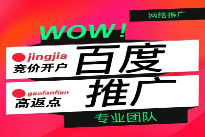 竞价托管与SEO结合的案例分析